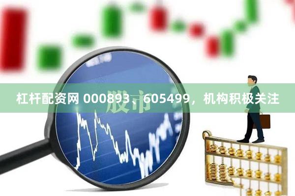 杠杆配资网 000893、605499，机构积极关注