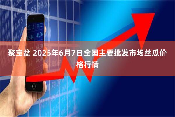 聚宝盆 2025年6月7日全国主要批发市场丝瓜价格行情