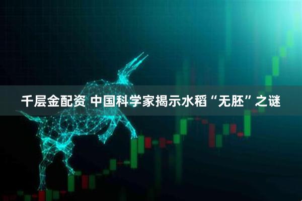 千层金配资 中国科学家揭示水稻“无胚”之谜
