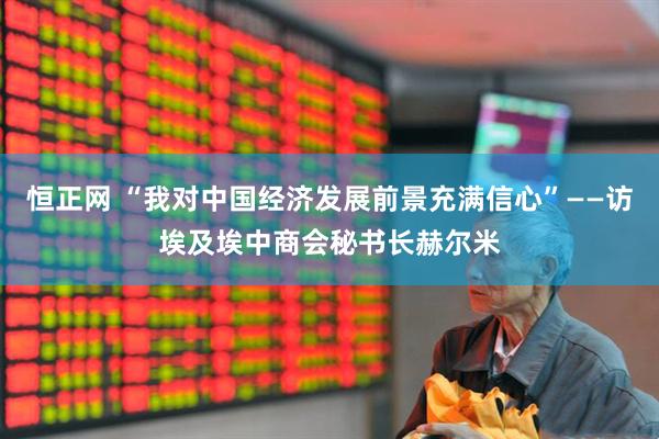 恒正网 “我对中国经济发展前景充满信心”——访埃及埃中商会秘书长赫尔米