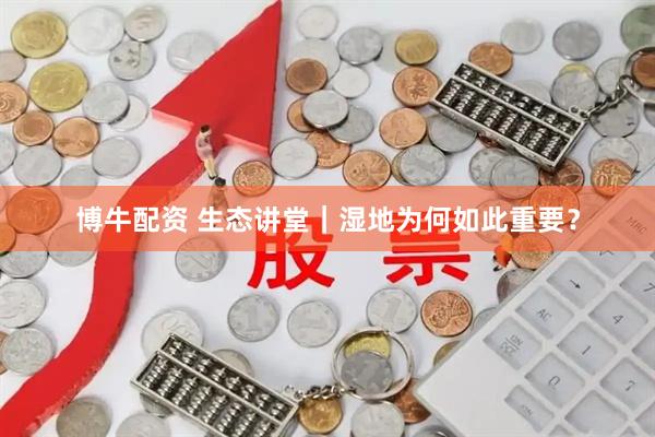 博牛配资 生态讲堂｜湿地为何如此重要？