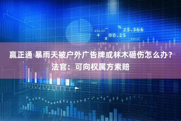 赢正通 暴雨天被户外广告牌或林木砸伤怎么办？法官：可向权属方索赔