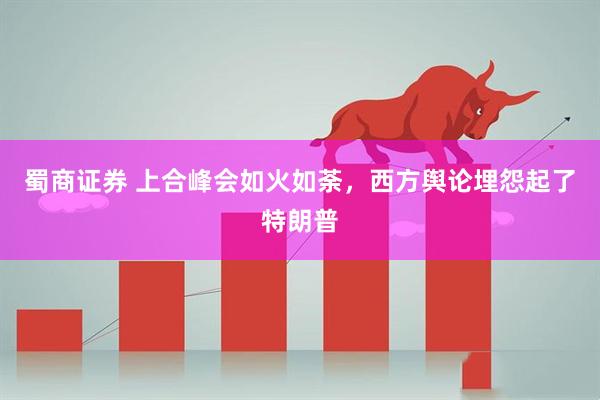 蜀商证券 上合峰会如火如荼，西方舆论埋怨起了特朗普