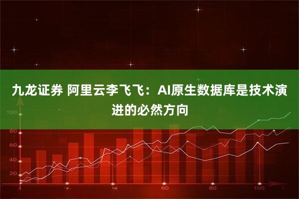 九龙证券 阿里云李飞飞：AI原生数据库是技术演进的必然方向